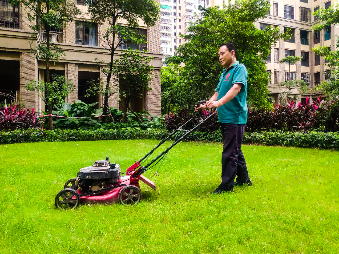 工廠綠化養護中草坪在緩長階段的管理