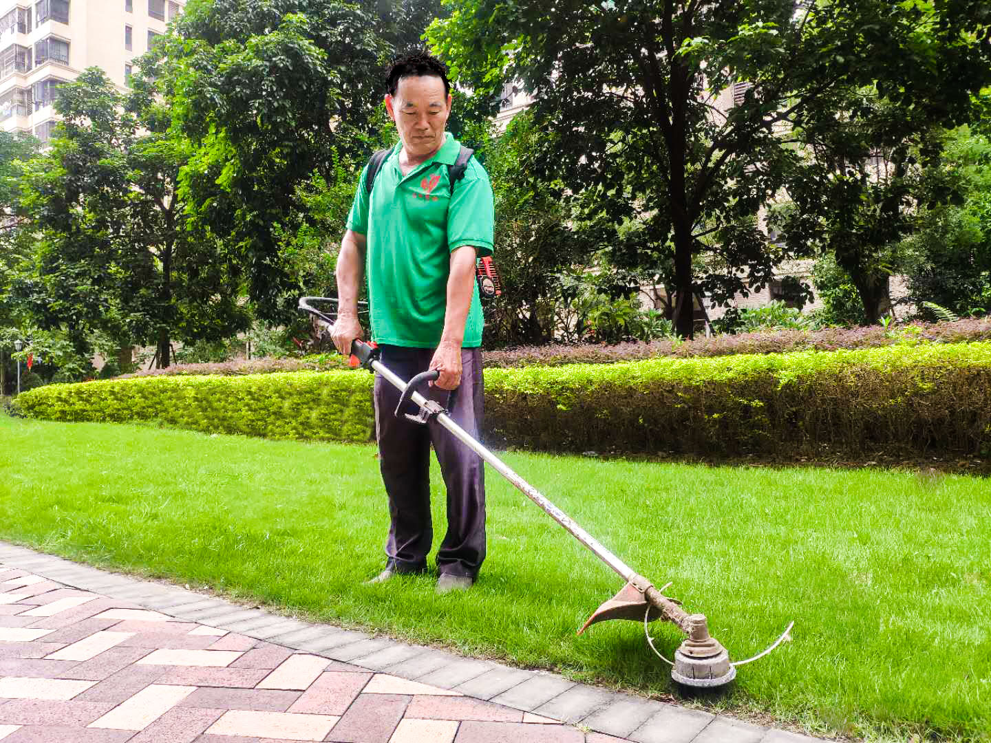 小區綠化養護割灌機的使用操作