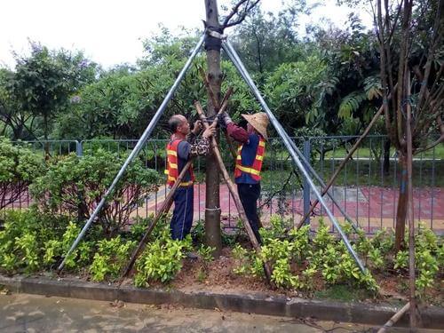 綠化養護拆除支撐架