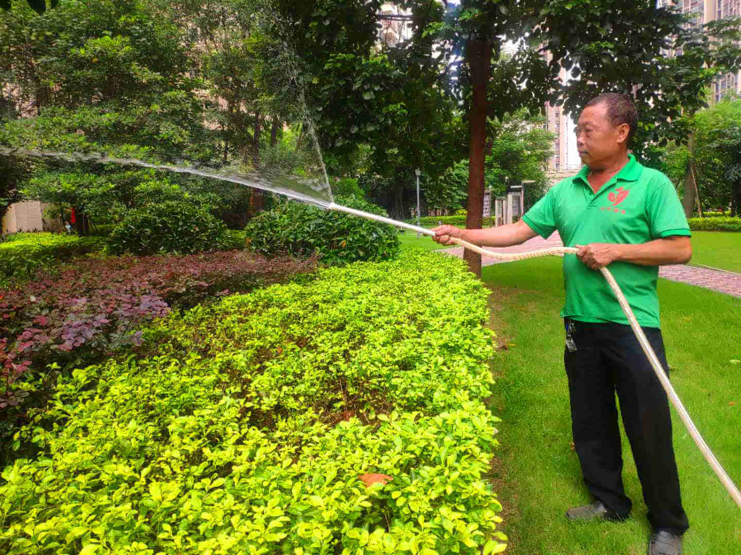 園林綠化養護澆水