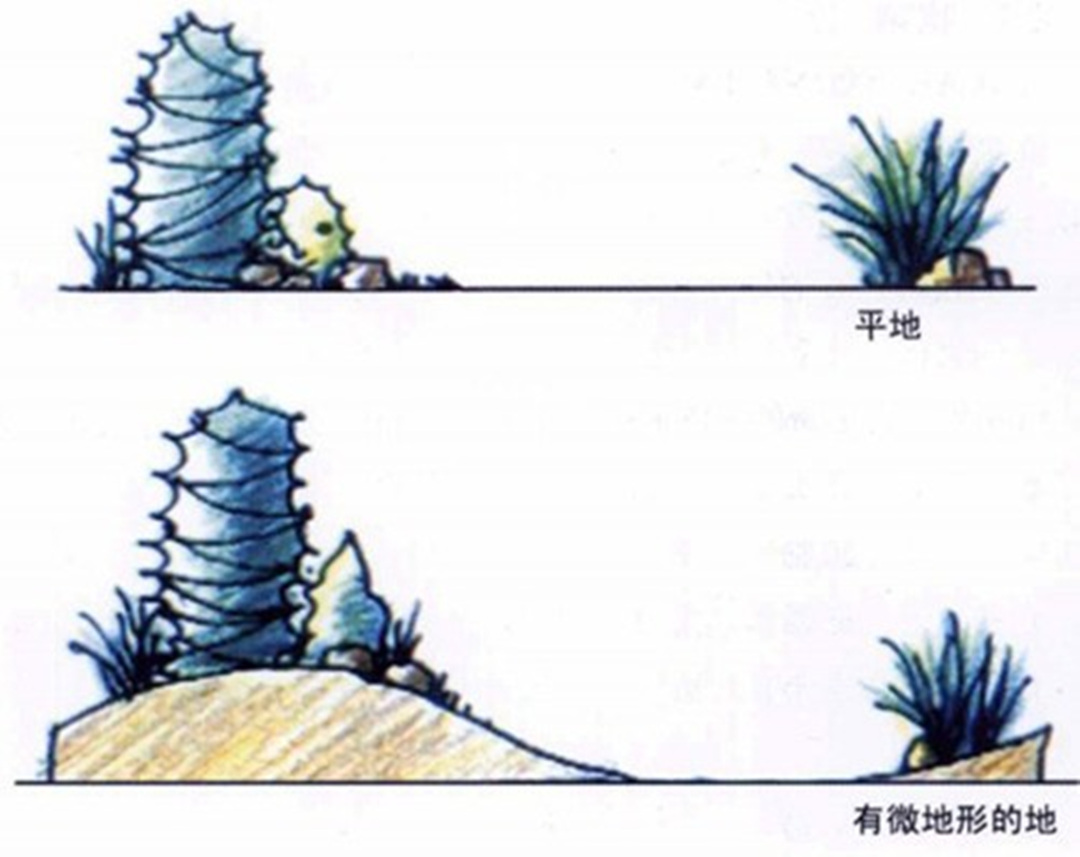 私家庭院園林綠化工程地形設(shè)計(jì)