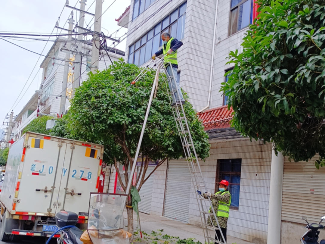 冬季綠化養(yǎng)護街道行道樹修剪