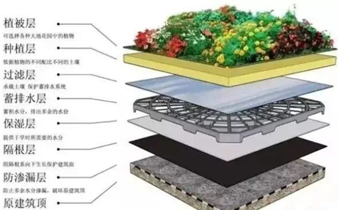 屋頂花園綠化工程的種植基本構(gòu)層